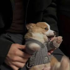 Bianca Mercado avatar